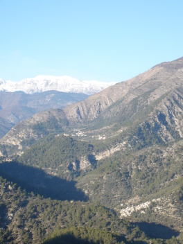 Vallée de Roya avec montagnes enneigées au fond