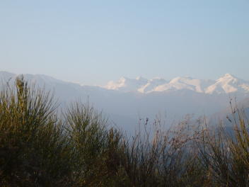 Genêts en hiver, montagnes enneigées depuis la montée vers le Monte Pozzo #2
