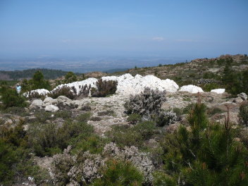 Les Roches Blanches, près de la Garde-Freinet