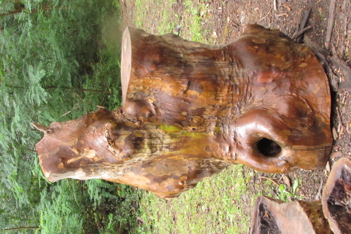 Coin Sare, Tronc d’arbre sculpture #3